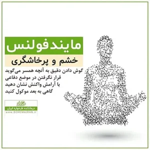 مایندفولنس